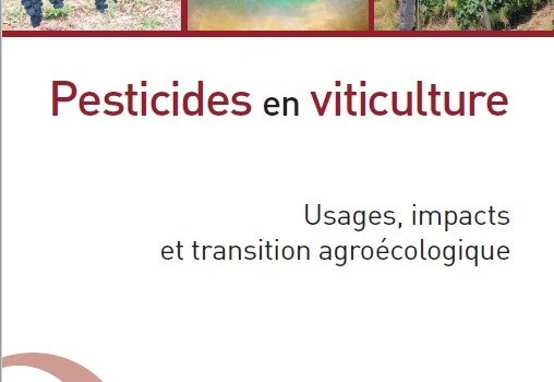 Un Point Scientifique Sur Les Pesticides En Viticulture