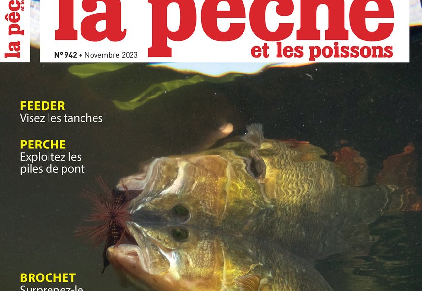 Gratuit les 1ères pages du n942 de La Pêche et les poissons