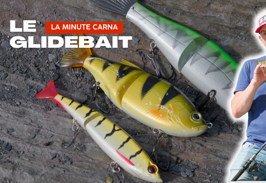 Tuto Tout Savoir Sur Le Glidebait La Minute Carna Peche Et