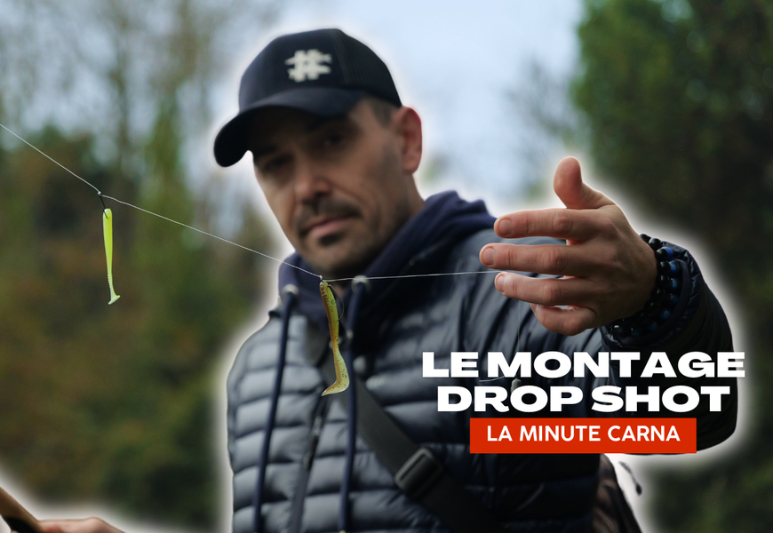 Tuto Tout Savoir Sur Le Montage Drop Shot La Minute Carna Peche