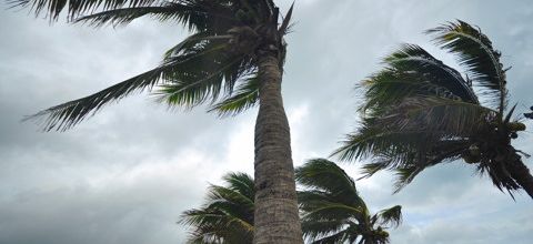 Le cyclone Berguitta menace l'île Maurice et la Réunion 