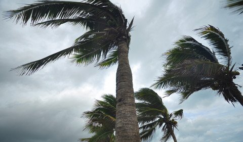 Le cyclone Berguitta menace l'île Maurice et la Réunion 