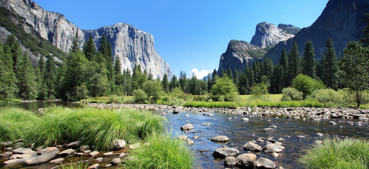 California (USA) - Yosemite National Park