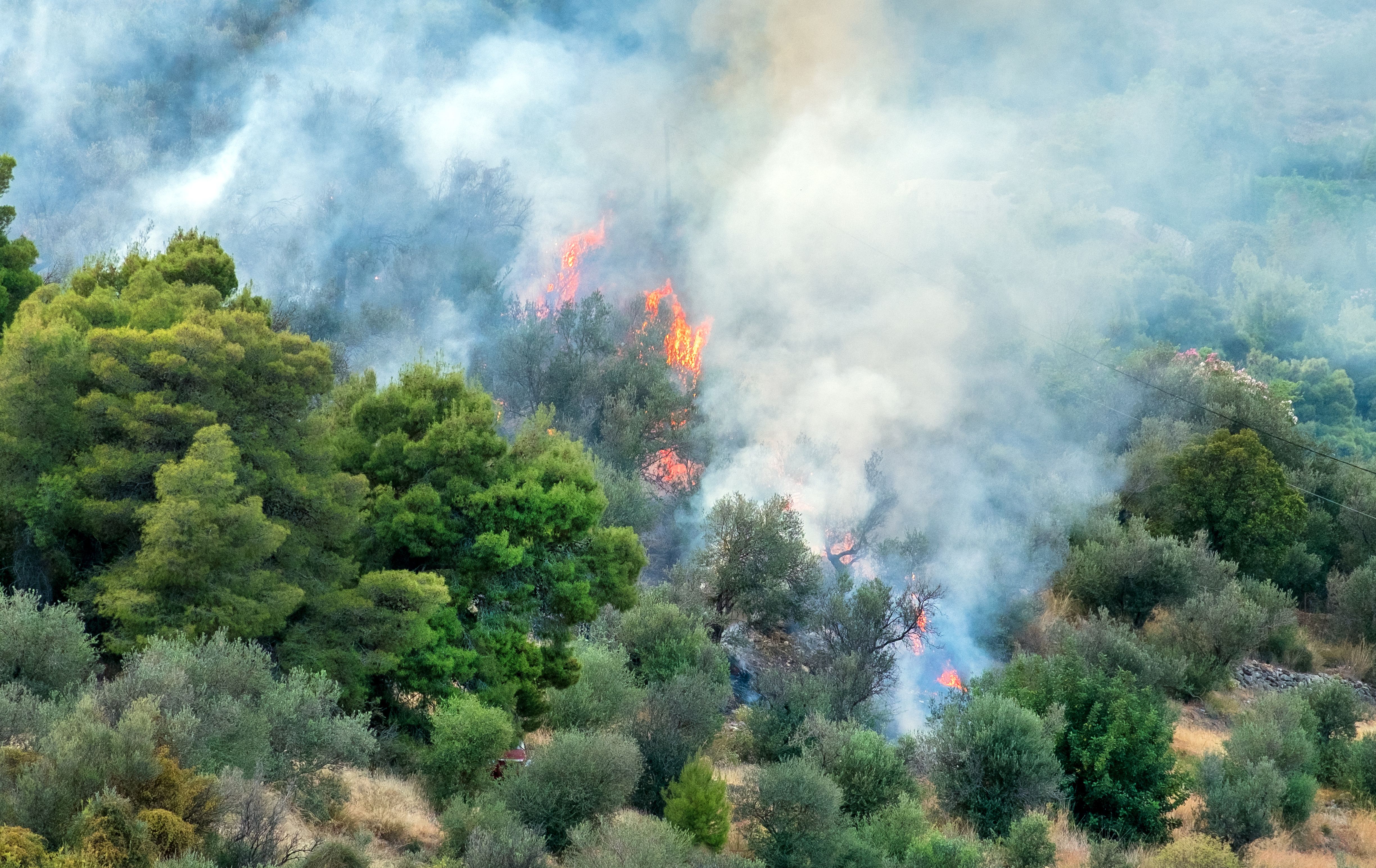 Waldbrand Griechenland, Forest Fire Greece.16063.jpg