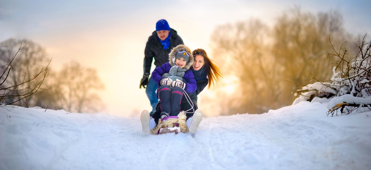 family rides the sledge in the wood