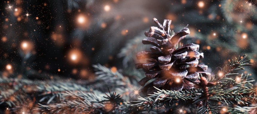 Christmas or New Year blurred snow background with festive fir tree and pine cones, selective focus