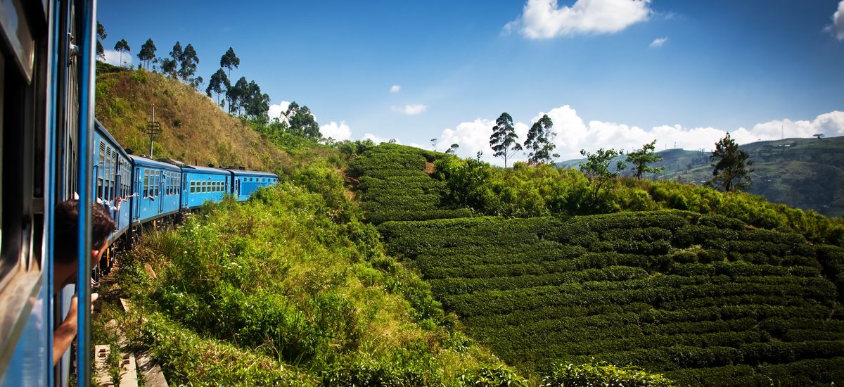 train from Nuwara Eliya to Kandy among tea plantations in the hi
