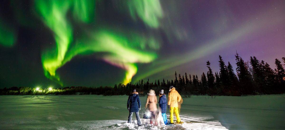Company of friends tourist looks northern lights at edge forest