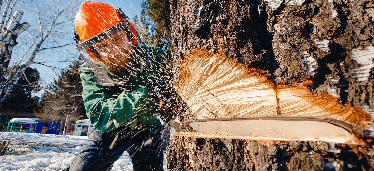 L'industrie forestière finlandaise refuse désormais les accords de branche