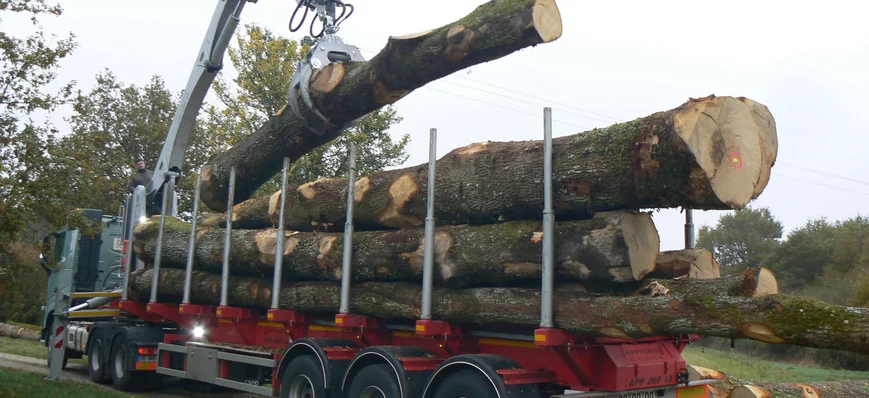 Transport de bois / Appydro fabrique la grue la pl