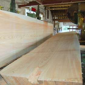 1ère transformation du bois / Quelle nouvelle approche pour le sciage des très gros bois ?