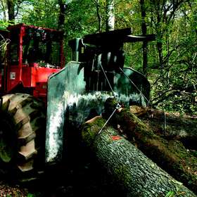 Exploitation forestière / Un skidder Irum Taf 2012 léger et robuste pour débarder une coupe de chênes
