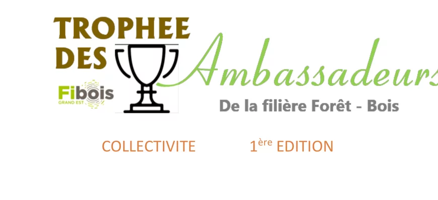 Un Trophée des ambassadeurs «collectivité» de la f