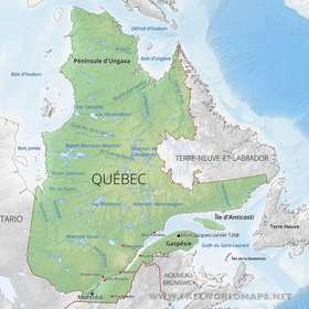 Le gouvernement du Québec aide la filière forêt-bois à faire face