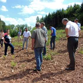 Ouverture du 14e appel à projets Plantons pour l’avenir