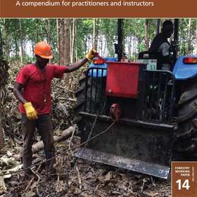 Travaux forestiers : parmi les plus dangereux au monde, selon la FAO