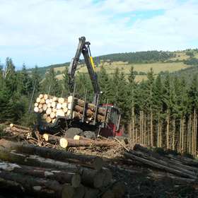 Le CCR de la Commission européenne a pointé une récente poussée de l’exploitation forestière dans l’Union