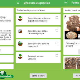 For-Eval : une application pour aider au diagnostic des sols forestiers