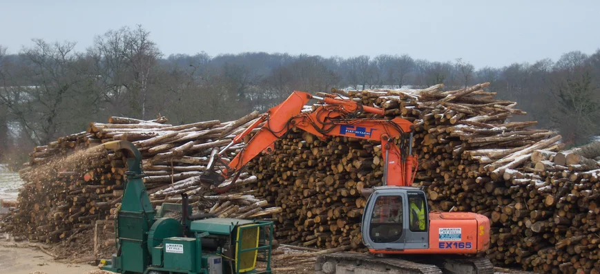Usages énergétiques de la biomasse : les Néerlanda