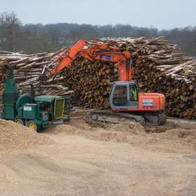 Usages énergétiques de la biomasse : les Néerlandais prudents