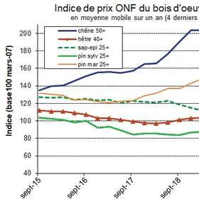 Baisse des prix des grumes (hors douglas) sur un an : les moyennes et analyses de l’ONF