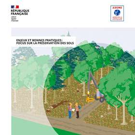 Production de plaquettes forestières : un guide pour sensibiliser à la récolte du bois de manière durable