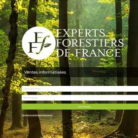 2e semestre 2020 : demande soutenue aux ventes des Experts forestiers (EFF)