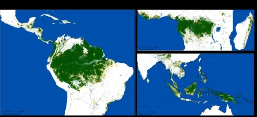 Une cartographie sans précédent de la déforestatio