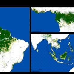 Une cartographie sans précédent de la déforestation