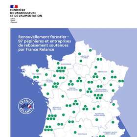 97 lauréats pour l’appel à projets amont de la filière forêt-bois