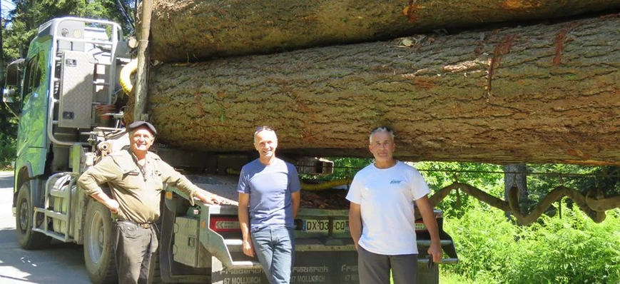 Valorisation réussie de très gros douglas dans le