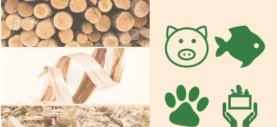 Du bois à l’alimentation pour animaux : Arbiom ann