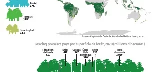 Les chiffres sur la forêt de la FAO désormais disp