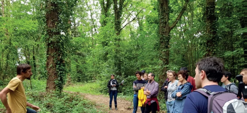 Nuits des forêts : la seconde édition a mobilisé 1