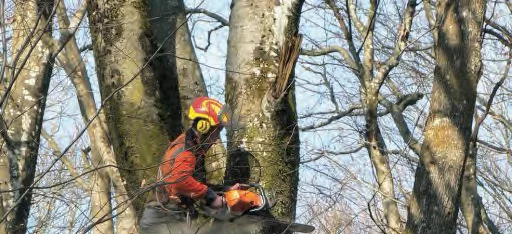 Législation des travaux forestiers : travaux fores