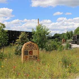 La tonnellerie Sylvain revégétalise son parc à bois pour améliorer la maturation des merrains