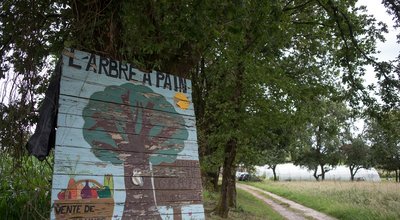 Insertion par l’activité économique : L’Arbre à pain étend les branches de la solidarité