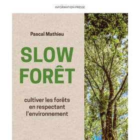 Pascal Mathieu publie Slow Forêt