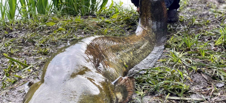 Pêcher en plan d’eau