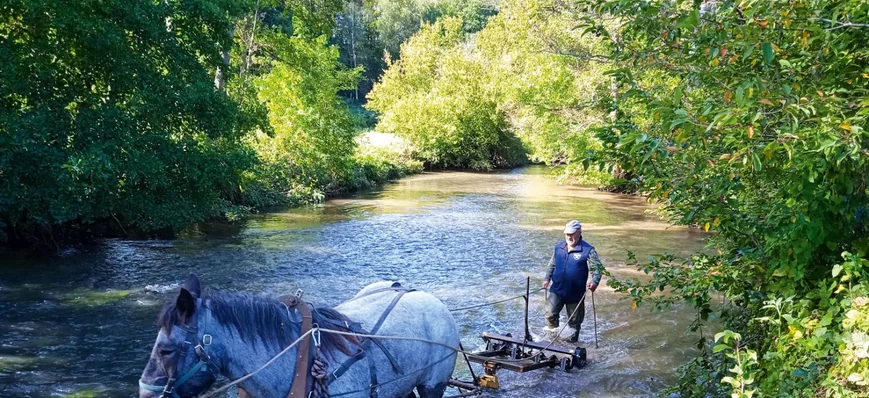 Décolmatage à cheval