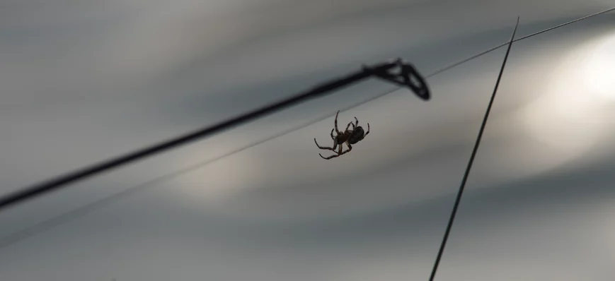 Pêche autorisisée à 30 km autour du domicile