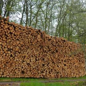 Une nouvelle pression exercée sur les exploitants forestiers français ?