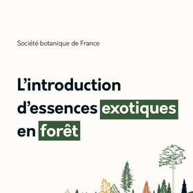 La Société botanique de France se penche sur les risques associés à l’introduction d’essences exotiques dans les forêts