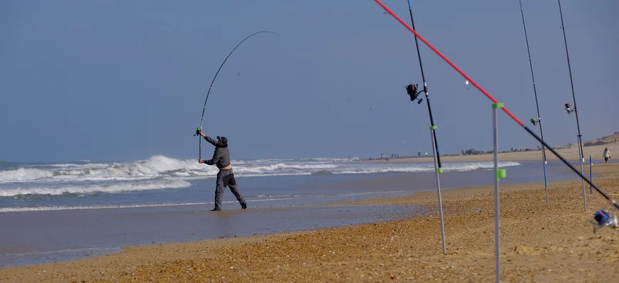 Surfcasting : le top des montages pour le bar