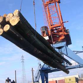 Précisions quant aux sanctions de l’Union européenne contre les importations de bois russes