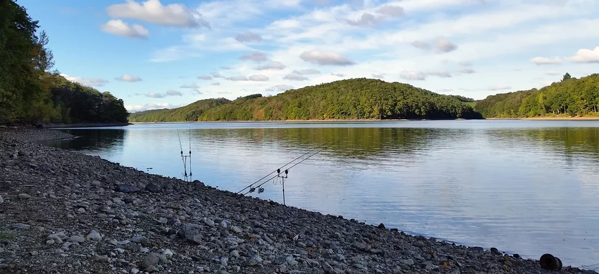Pêcher à portée de canne en lac de barrage