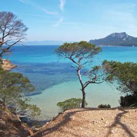 Zoom sur Port-Cros