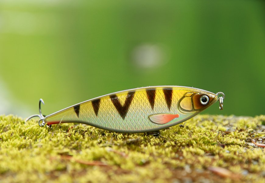 Leurre Perche : Guide Complet pour la Pêche à la Perche aux Leurres - Pêche en ligne