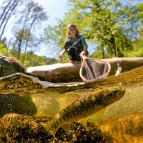 Ouverture truite : les 10 techniques reines - Peche et Poissons