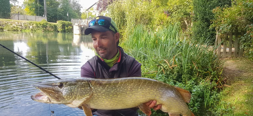 L’été, pensez au poisson mort-manié